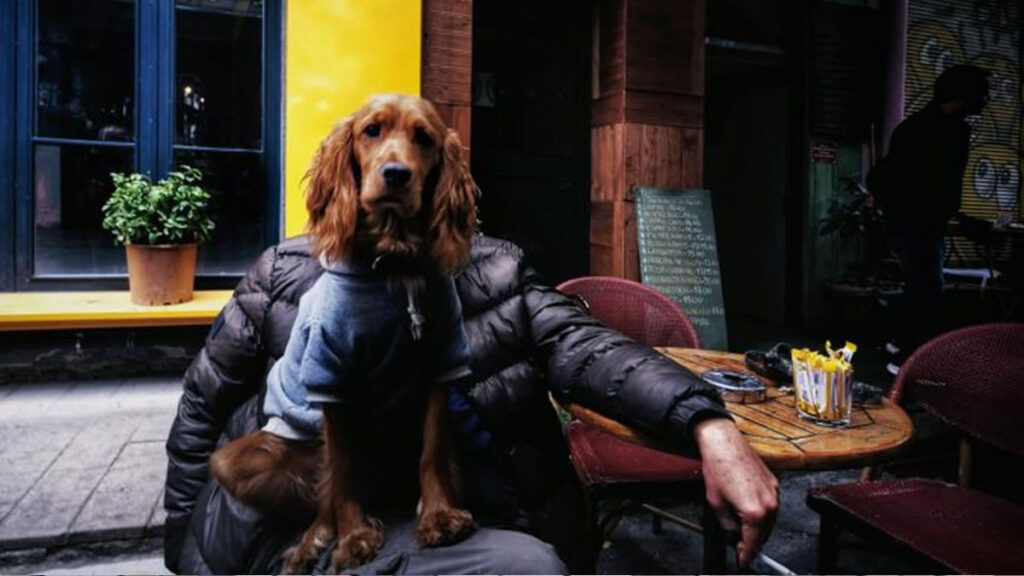 Vaping Around Pets, Smoking Pets Dangers