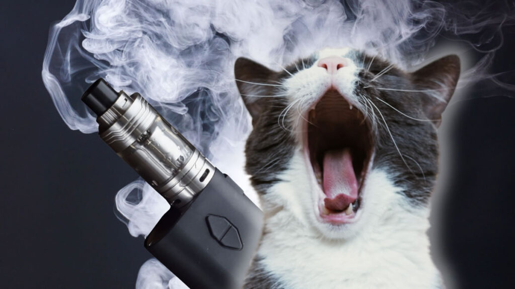 Is Vaping Harmful to Pets? Respiratory Risks & Poisoning Warning Vaping and Pets, Secondhand Vape Risks Cats Dogs