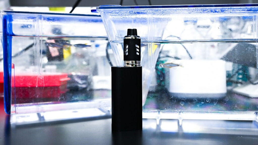 Zebrafish Study Vaping Disrupts Gut Microbiome Behavior